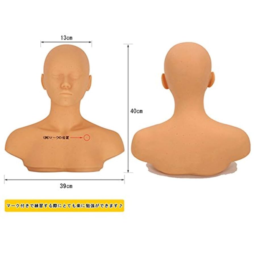 ♥️練習用デコルテ土台♥️新品未使用品♥️ 練習用 デコルテ土台 幅39×高さ40×奥行20cmの通販｜セブン